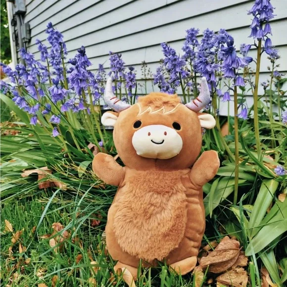 14” Wilfred the highland Cow Hug me Squishmallows NWT